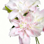 Lotus Elegance Pure White-Green Double Lily (3 buds/stem) · White & Cream