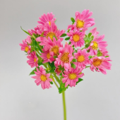 Pink Mini Daisy Mum / Petite Button Chrysanthemum · Pink & Blush