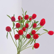 Strawberry Fields Red Gomphrena / Globe Amaranth · Red