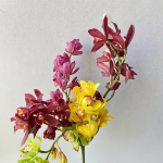 Assorted Multi-Color Cymbidium · Bicolor & Multi-Color