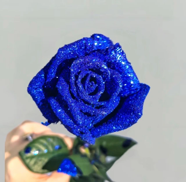 Blue Enchantress Royal Blue Dyed Rose · Blue