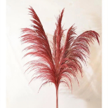 Fresh-Cut Crimson Tinted Reed Plumes · Red