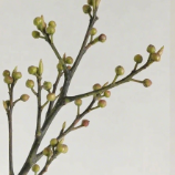 Green Enkianthus / Dodan-Tsutsuji Tiered Branches · Green & Foliage