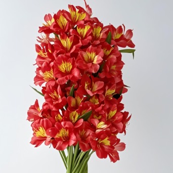 Haisheng Crimson Red Alstroemeria · Red