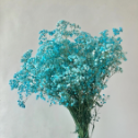 Macaron 'Tiffany Blue' Baby's Breath · Blue