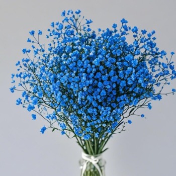 Royal Sapphire-Blue Tinted Baby's Breath · Blue