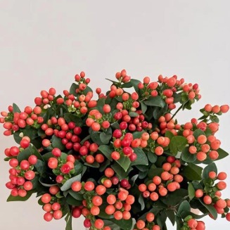 Crystal Red Glossy Hypericum Berries · Red