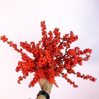 Single-Stem Red Ilex Winterberry Branch · Red