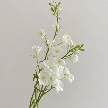 小飞燕·白色 · 白色与奶油系