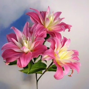 Red Ribbon Crimson-Striped Double Oriental Lily (3 buds/stem) · Red