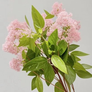 Blush-Pink California Lilac / Ceanothus Plumes · Pink & Blush