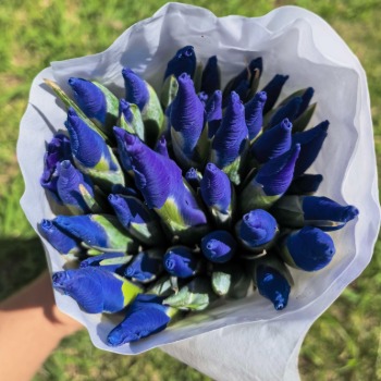 Deep Violet-Blue Dutch Iris · Purple & Lavender