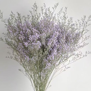 Misty Blue / Caspia Limonium Filler · Purple & Lavender