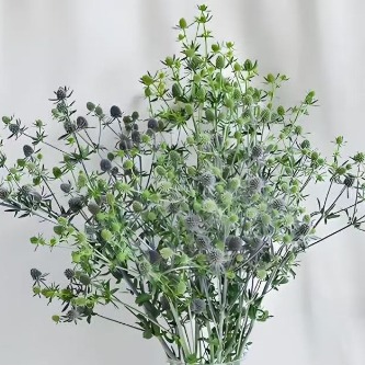 Ornamental Green Solanum / Jerusalem Cherry Berries · Green & Foliage
