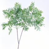 Foam Foliage / Breynia Nivosa Snowbush Stems · Green & Foliage