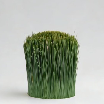 Fresh Pine Needle Clusters · Green & Foliage