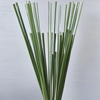 Privet Foliage Branches · Green & Foliage