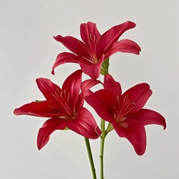 Red Jewel Ruby-Red Asiatic Lily (3 buds/stem) · Red