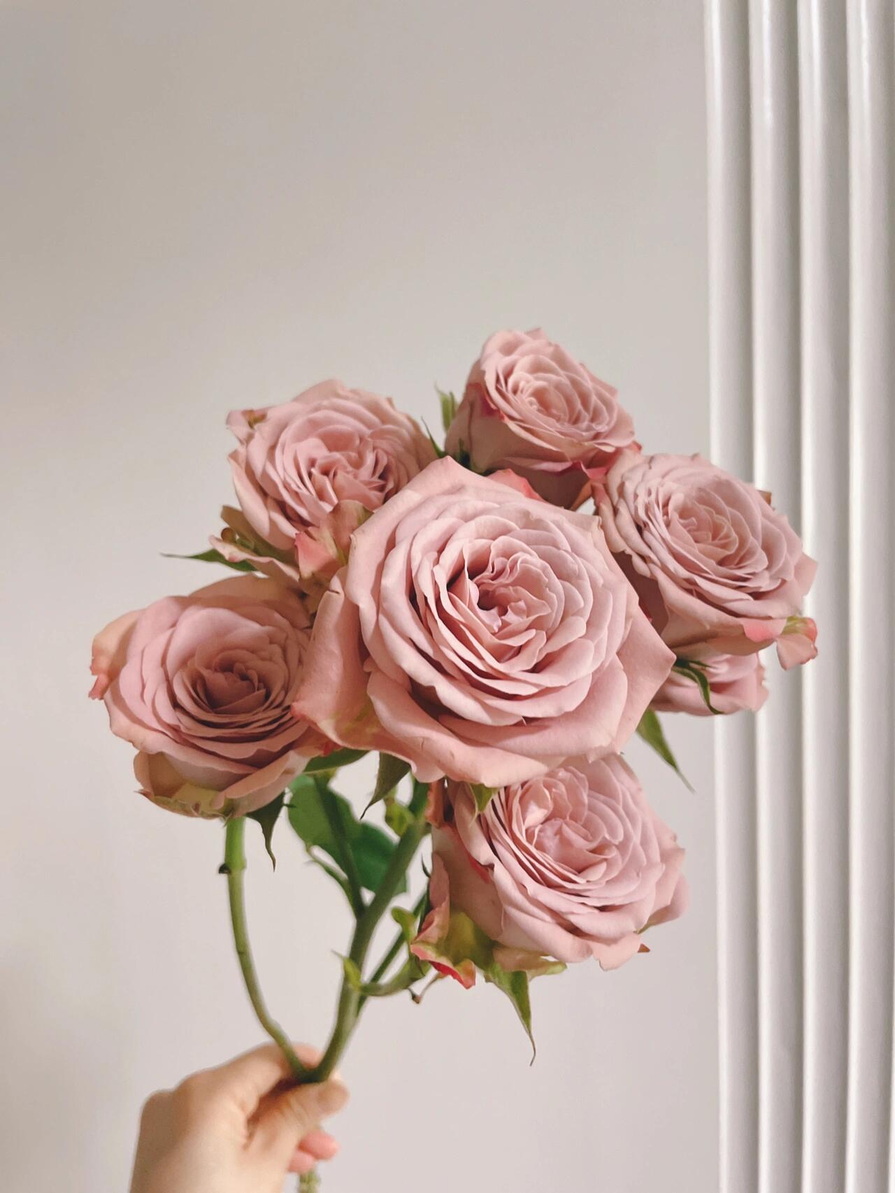 Cappuccino Vintage Mocha-Coffee Spray Rose · Vintage Coffee, Terracotta & Dark