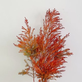 Absorption-Dyed Festive Red Melaleuca Foliage · Red