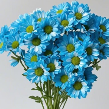Artisan Sky-Blue Tinted Spray Chrysanthemum · Blue