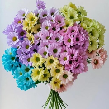 Assorted Designer Tinted Spray Chrysanthemum Mix · Bicolor & Multi-Color
