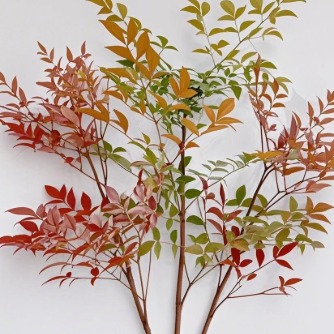 Autumn-Tinted Red-Bronze Nandina Branches · Orange & Coral