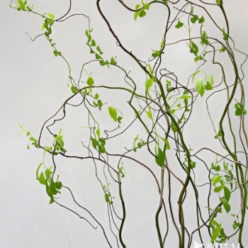 Curly Willow / Contorted Willow Branches · Vintage Coffee, Terracotta & Dark
