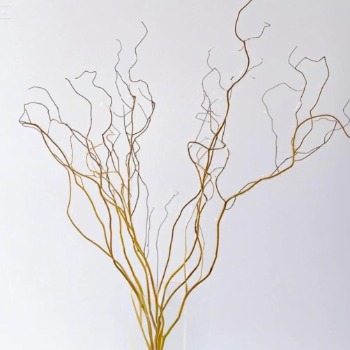 Golden Curly Willow / Contorted Willow Branches · Yellow & Gold