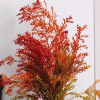 Short-Stem Red Tinted Melaleuca Foliage · Red