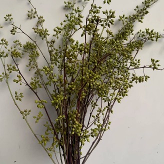 Viburnum / Wild Micro-Berry Branches · Red