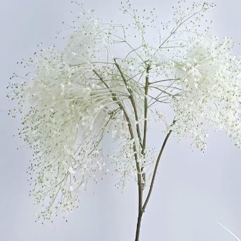 Wispy White Bridal-Veil Cloud Branches · White & Cream